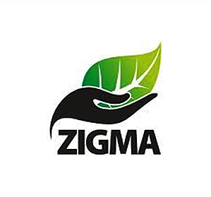 Client Logo 191